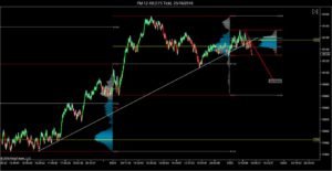 ym-12-16-175-tick-25_10_2016
