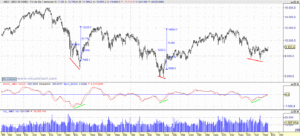 ibex